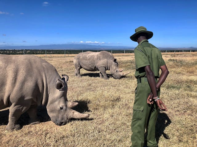 Ol Pejeta Conservancy
