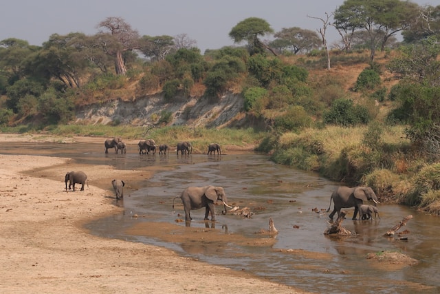 Tarangire National Park